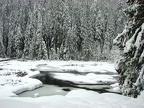 The springs in the meadows stay open all winter despite the snows that cover Longmire Meadows.