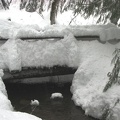 Snow buries a bridge on the southwest side of Longmire Meadows. The water is still warm enough to stay open all winter.