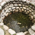 This is a soda spring becuase carbon dioxide and other gasses constantly bubble up through the water.