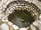 This is a soda spring becuase carbon dioxide and other gasses constantly bubble up through the water.