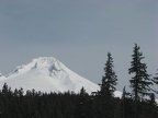 Mt. Hood as viewed from the parking lot for Trillum Lake Sno-Park