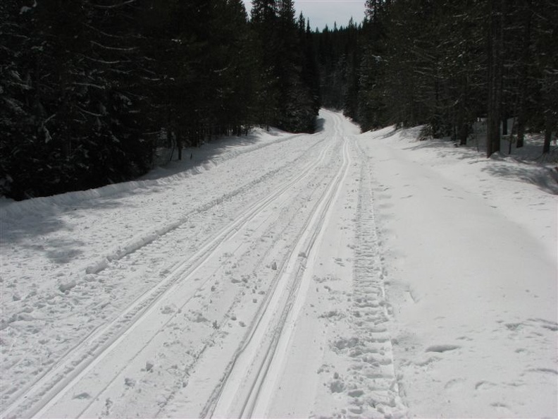 In winter the Forest Service road becomes a groomed trail through the forest around Trillium Lake. Remember not to walk or snowshoe on top of the cross-country ski tracks because it makes it harder for the skiers to use the trail.