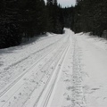 In winter the Forest Service road becomes a groomed trail through the forest around Trillium Lake. Remember not to walk or snowshoe on top of the cross-country ski tracks because it makes it harder for the skiers to use the trail.