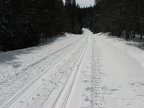 In winter the Forest Service road becomes a groomed trail through the forest around Trillium Lake. Remember not to walk or snowshoe on top of the cross-country ski tracks because it makes it harder for the skiers to use the trail.