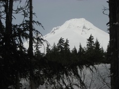Mt. Hood as seen from the south end of the parking lot near the trailhead for the Trillium Lake Trail.