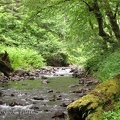 The Neahalem River is a trickle compared to the wet season. It looks very inviting in the summer.
