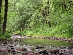 The Neahalem River flows over slippery stones along the Triple C Trail.