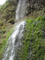 Water cascades down cliffs in several places along the trail during the wet season. This is just past a switchback on the west side of Oneonta Creek.