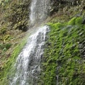 Water cascades down cliffs in several places along the trail during the wet season. This is just past a switchback on the west side of Oneonta Creek.