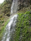 Water cascades down cliffs in several places along the trail during the wet season. This is just past a switchback on the west side of Oneonta Creek.