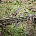 The Bridge over Oneonta Creek is about 30 feet above the stream and has an open-slat deck. You can look down right through the bridge and see the creek rushing beneath you.