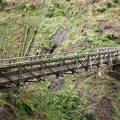 The Bridge over Oneonta Creek is about 30 feet above the stream and has an open-slat deck. You can look down right through the bridge and see the creek rushing beneath you.