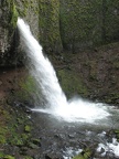 Ponytail Falls waterfall is about 110 feet high and is on Horsetail Creek in the Columbia River Gorge. This is classified as a horsetail waterfall.