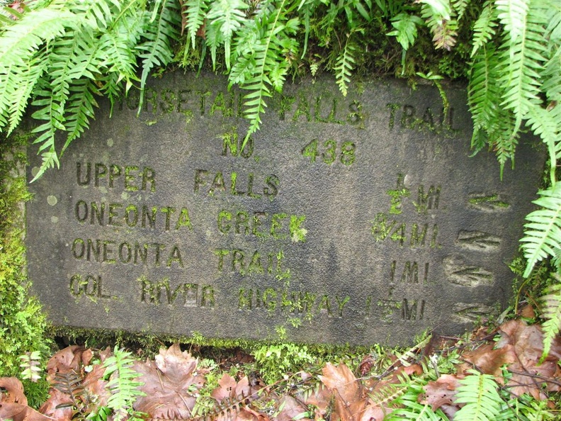 When the Civilian Conservation Corps (CCC) built these trails in the gorge, concrete signs were added. Sometimes they are hard to see because moss and ferns are growing over the signs. This sign is about 50 feet from the trailhead near Horsetail Falls.
