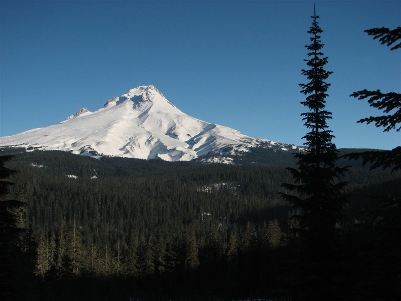 Mt. Hood from a viewpoint along the Forest Service Road just south of Barlow Pass.