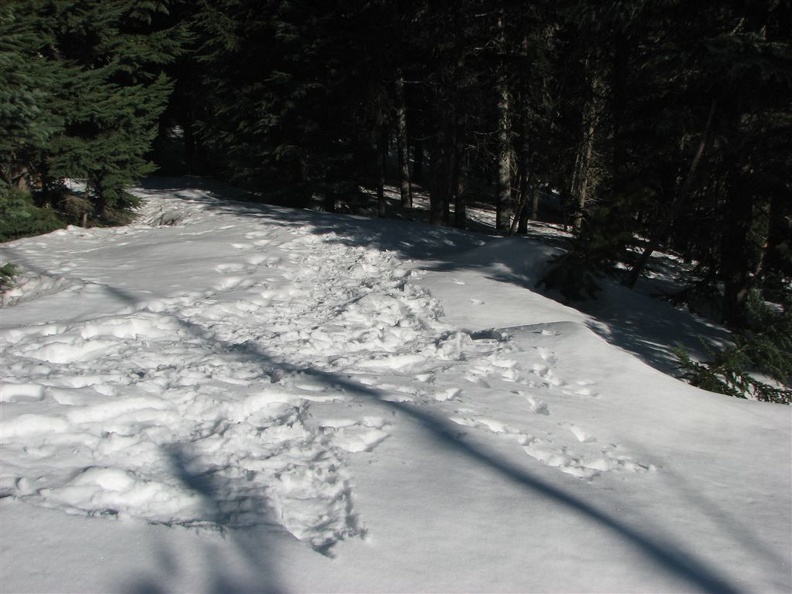 Pacific Crest Trail from Barlow Pass to Twin Lakes, showing snowshoe track of previous hikers. This is near Barlow Pass, OR