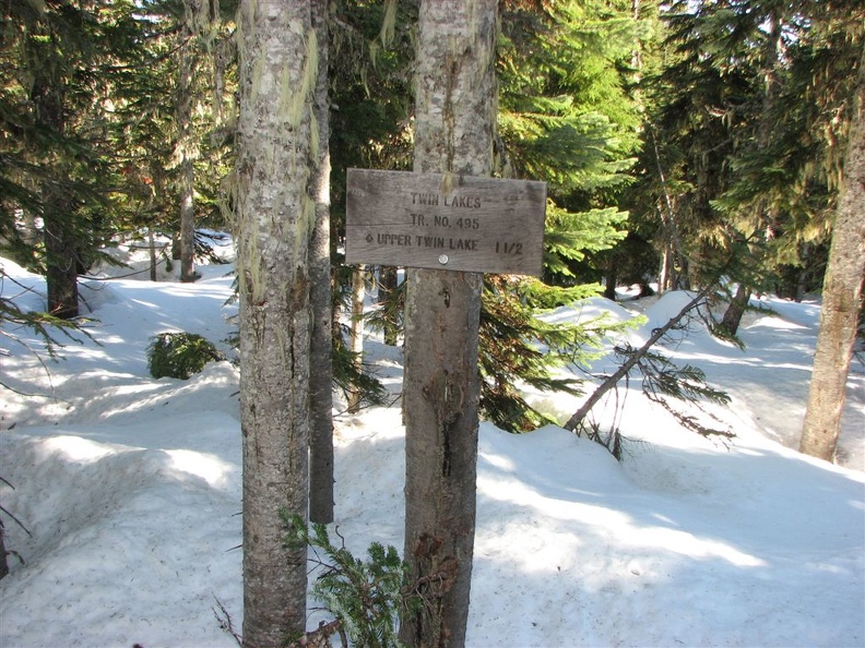 Pacific Crest Trail on the way to Twin Lakes Trail. This is a popular trail and it is hard to lose the way because the cleared trail is a gap in the trees.