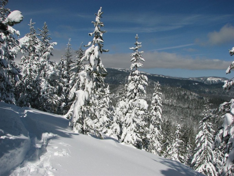 Looking north on the trail to the promontory which is west of the Pacific Crest Trail between Barlow Pass to Twin Lakes, OR.