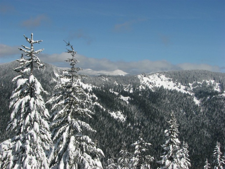 Looking east on the trail to the promontory which is west of the Pacific Crest Trail between Barlow Pass to Twin Lakes, OR.