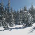 Snow covered alpine meadows on the trail to the promontory which is west of the Pacific Crest Trail between Barlow Pass to Twin Lakes, OR.