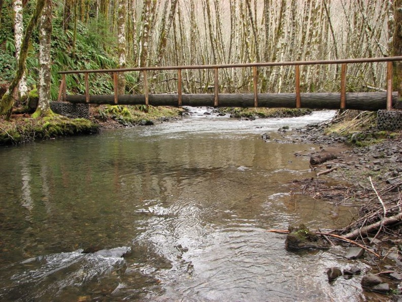 Log crossing ove the Devils Lake fork of the Wilson River.