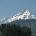 Mt. Hood from the Anthill Trail near Wahtum Lake.