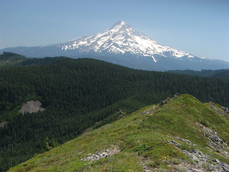 Mt. Hood from the summit of Tomlike Mountain.