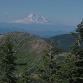 Mt. Adams from the top of Chinidere Mountain.