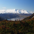 Another beautiful view of Spirit Lake and Mt. St. Helens with all the fall colors.