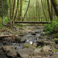 A log bridge over Dog Creek makes the stream crossing easy even in the rainy season.