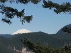 Looking east to Mt. Adams from near the summit of Wind Mountain.