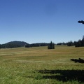 The beginning of Grand Park, a 2 mile long meadow on the Northeast side of the mountain.