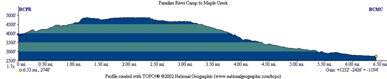 Paradise river Maple Creek