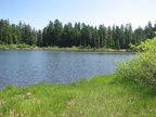 North Lake has a grassy shoreline on the far side of the lake. You can expect to see fish jumping to catch bugs.