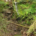 The only waterfall on this hike is a from a small stream along the Wygant Trail