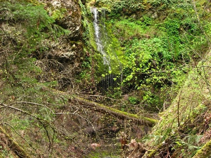 The only waterfall on this hike is a from a small stream along the Wygant Trail