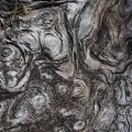 Even more great textures around Great Springs. Here are some roots that are all gnarled with the bark worn off revealing whorls of the wood.