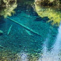 Clear Lake near Great Springs shows the blue color of the water.