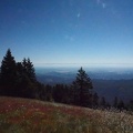 There are lovely mountain views all along the Marys Peak trail when the weather is clear.