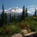 Here is a nice view of Mount Hood from the Burns Lake area.