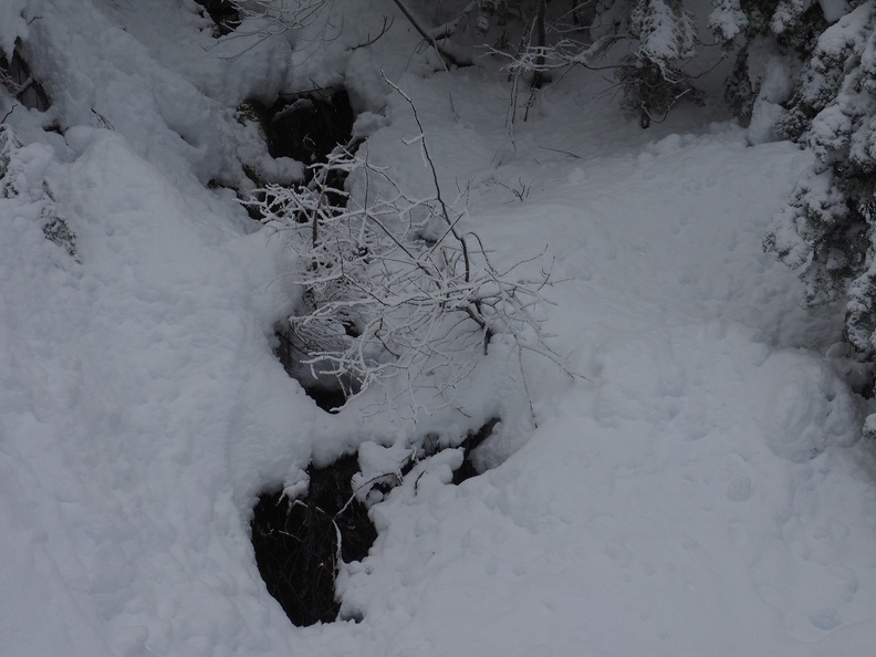 A few small streams slip down along the lower slopes of Barlow Butte.