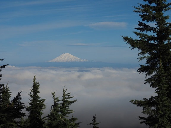 The mid-level fog hung around all day but Mt. Adams stands above it all.