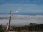 Mt. Adams makes a nice backdrop to the views from the Vista Ridge Trail.