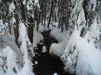 Still Creek doesn't freeze in the winter.