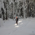 Jeremiah broke trail for a lot of the way through the beautiful winter forest.