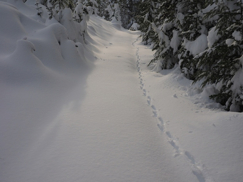 Only a fox chasing a hare has been here before us.