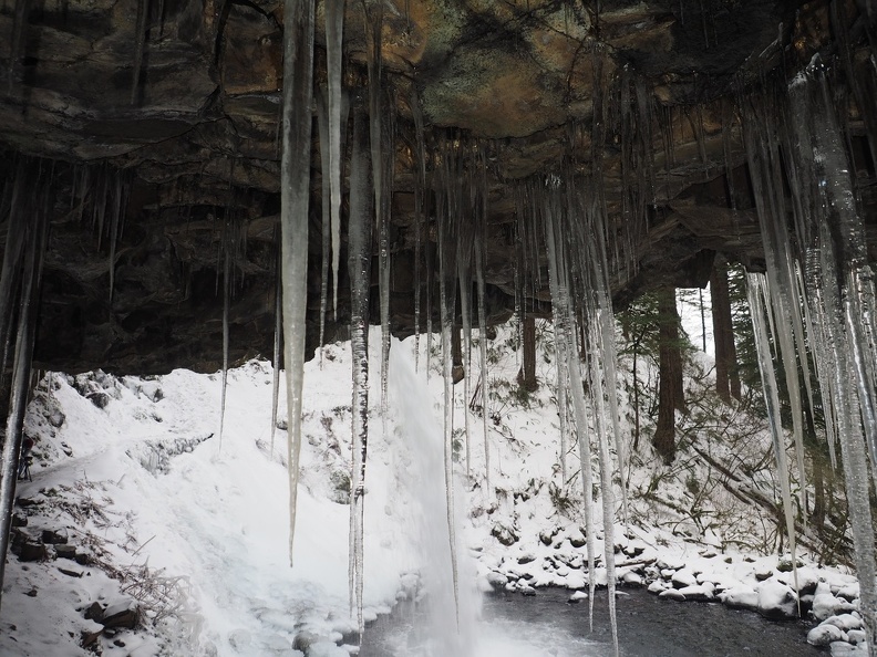 Icicles grow from the overhang behind Ponytail Falls