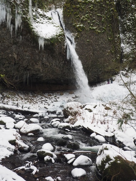 Ponytail Falls shoots out of the rocks.