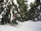 Trail sign along the Pine Marten Trail.