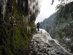 Icy winter trail on Eagle Creek Trail